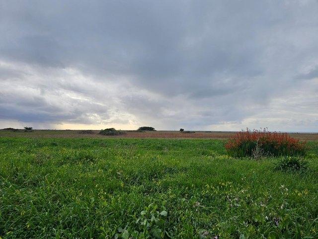 Land for sale in San Mateo, California