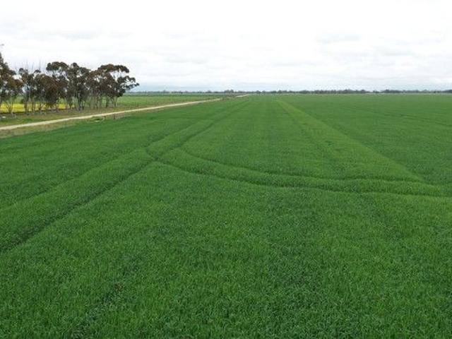 Land for sale in Tennyson, Victoria