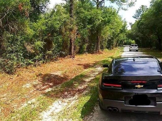 Land for sale in Webster, Florida