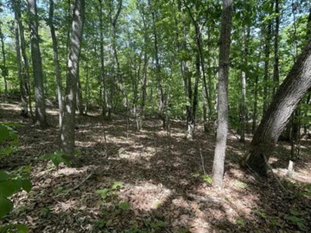 Land for sale in Taylors, South Carolina