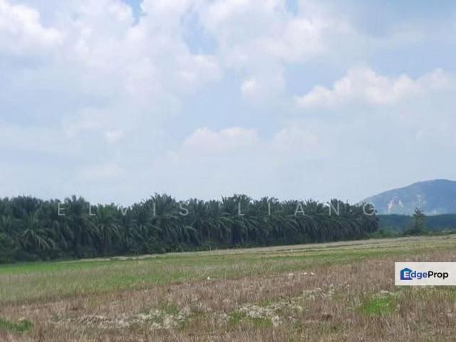 Shop for sale in Pendang, Kedah