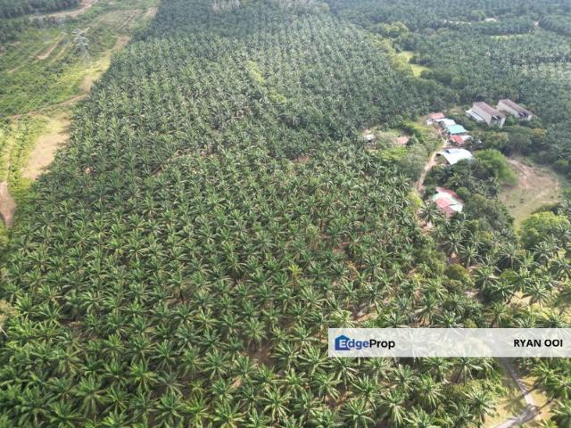 Shop for sale in Kedah