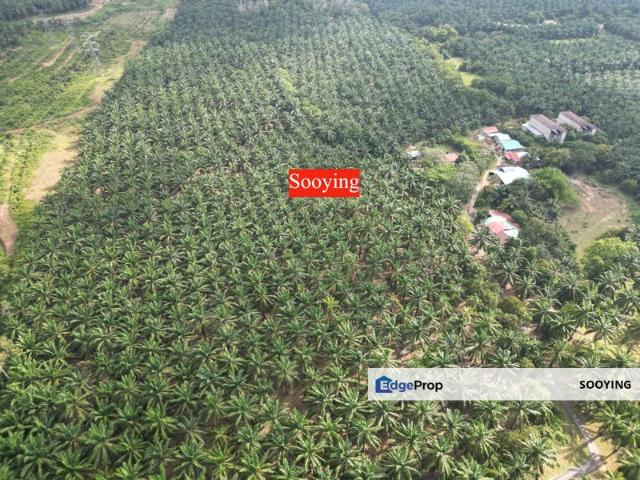 Shop for sale in Kedah