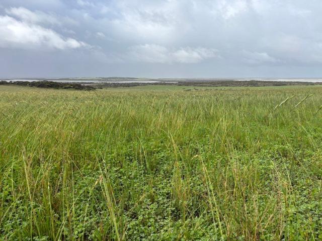Cottage for sale in Streaky Bay, South Australia