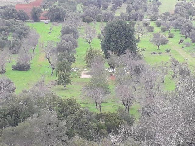 Terreno venda em Albufeira, Faro