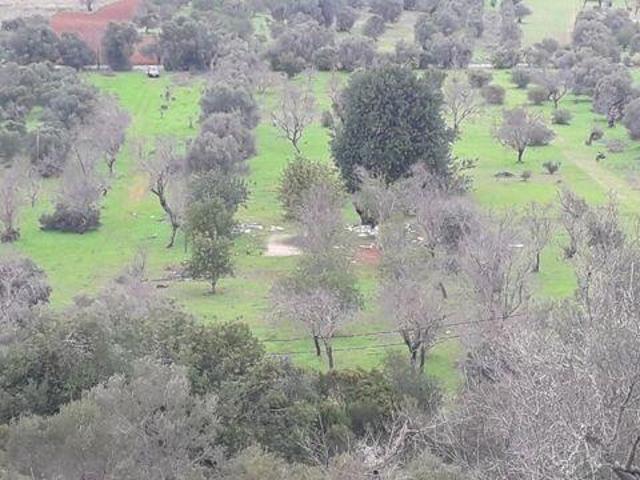 Terreno venda em Paderne