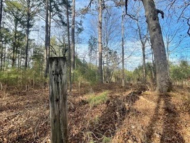 Land for sale in Senoia, Georgia