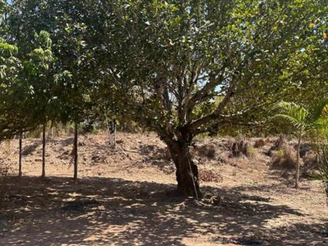 Sítio e chácara venda em Região Geográfica Imediata de Águas Lindas de Goiás, Região Integrada de Desenvolvimento do Distrito Federal e Entorno