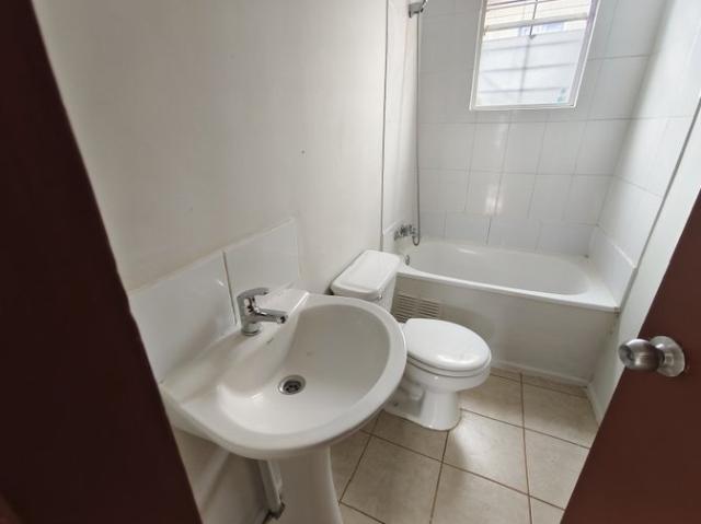 Padre Las Casas, Obispo carrasco 207