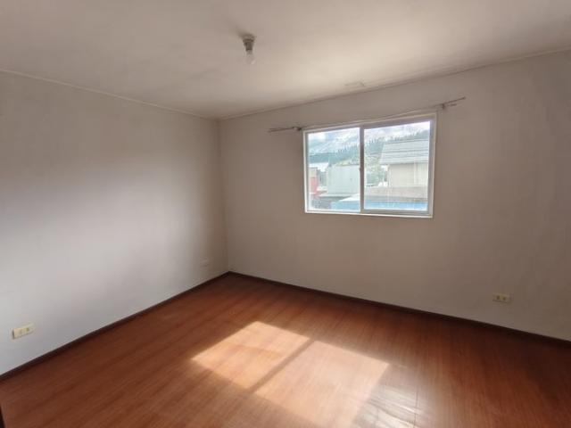Padre Las Casas, Obispo carrasco 207