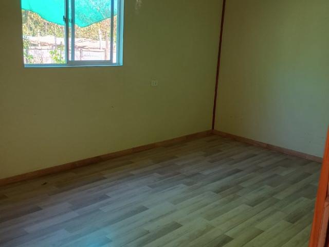 Padre Las Casas, Roble Huacho