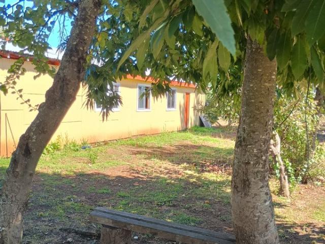 Padre Las Casas, Roble Huacho