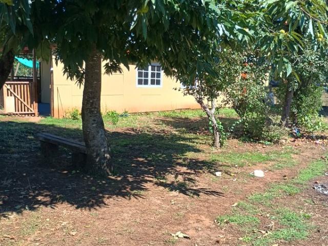 Padre Las Casas, Roble Huacho