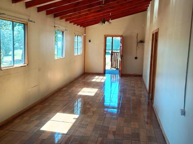 Padre Las Casas, Roble Huacho