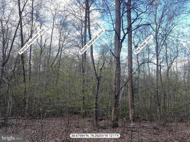 Land for sale in Virginia