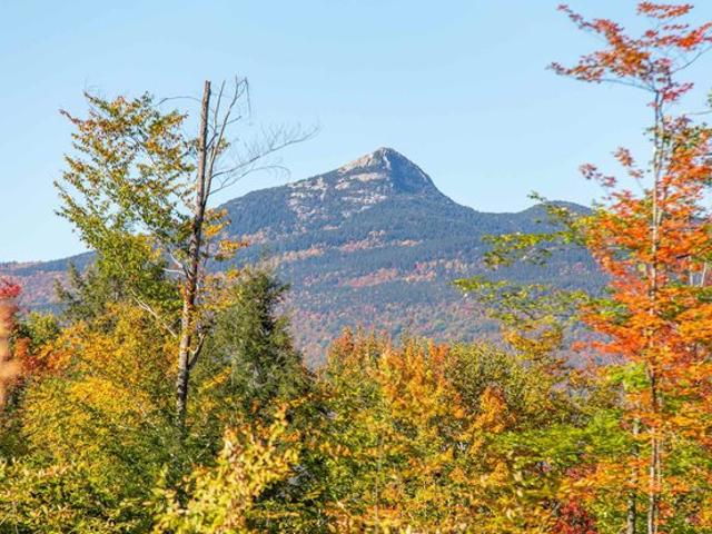 Land for sale in Chocorua, Tamworth
