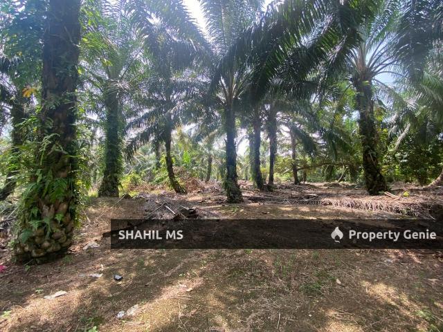 Property for sale in Muar, Johor