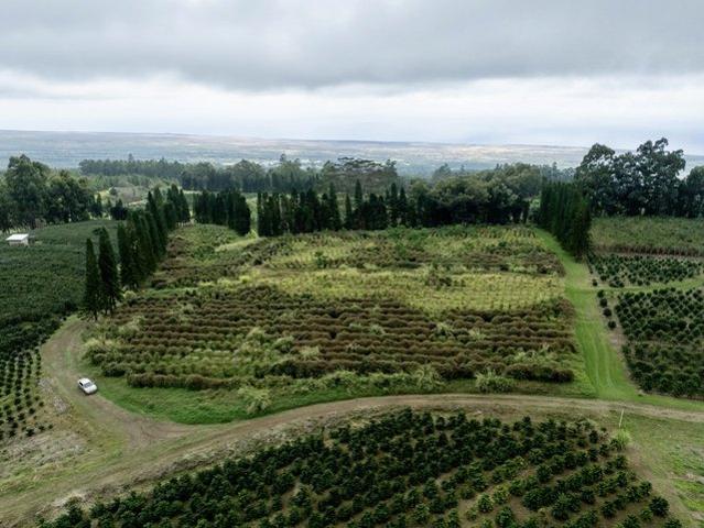 Farm for sale in Hawaii