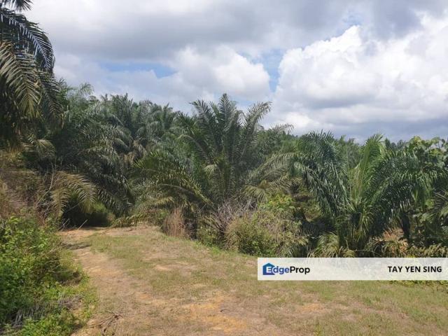Shop for sale in Pahang