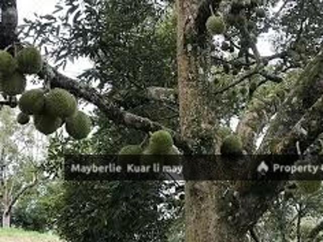 Property for sale in Kuantan, Pahang