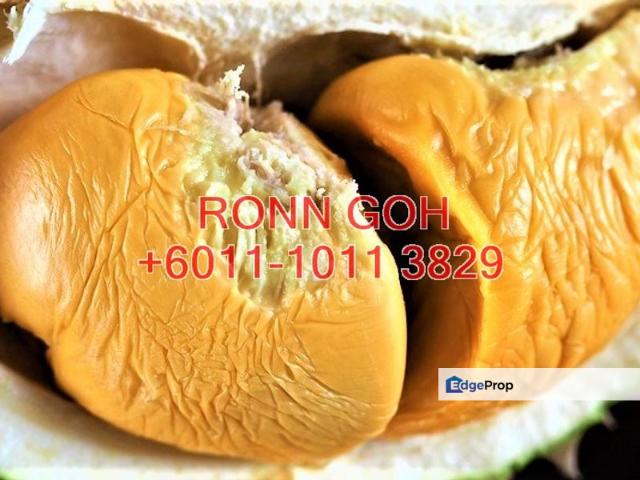 Shop for sale in Raub, Pahang