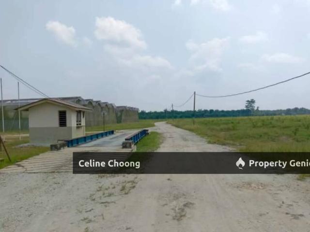 Property for rent in Temerloh, Pahang