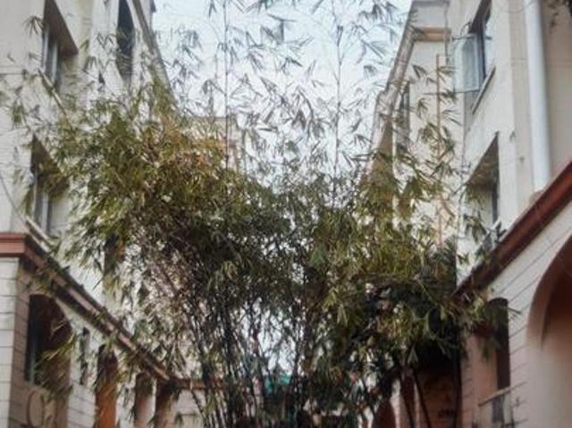 Flat for sale in Calcutta, West Bengal