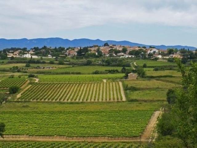 Terrain vente à Béziers, Pailhès