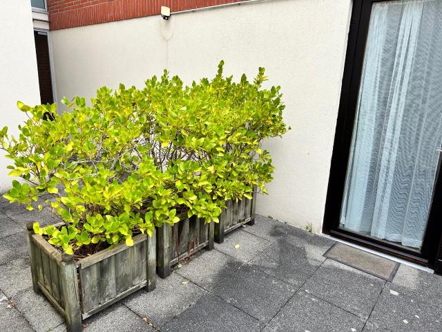 Appartement location à Guingamp, Bretagne