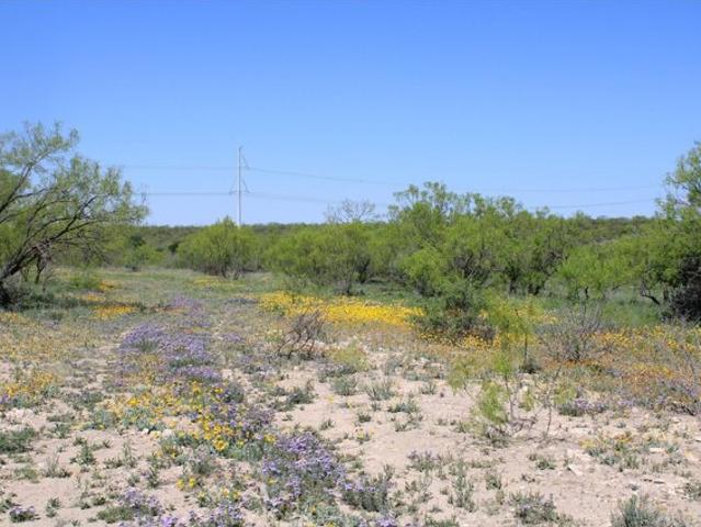 Land for sale in Paint Rock, Texas