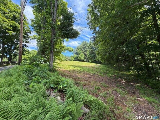 Land for sale in Woodbury, Connecticut