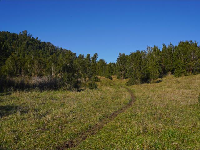 Paisajes del Rupanco, parcelas de 5.000 m2