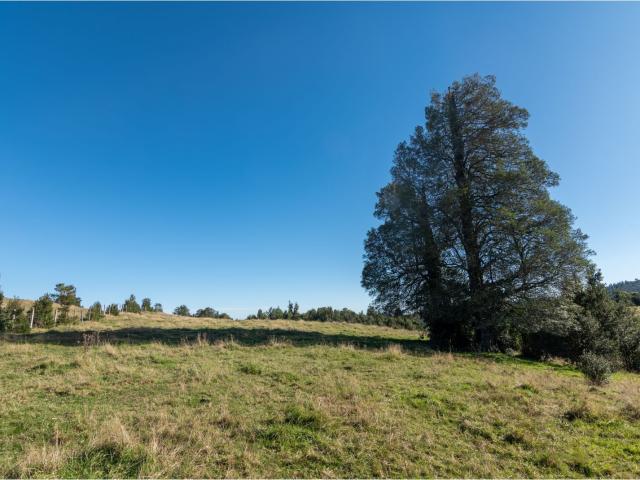 Paisajes del Rupanco, parcelas de 5.000 m2