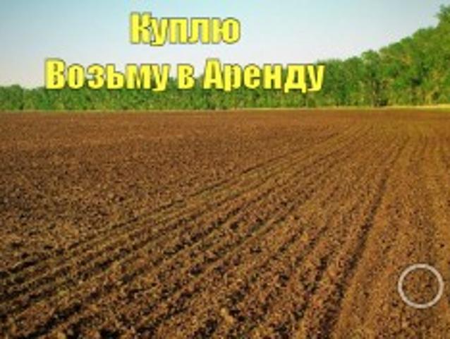 Участок аренда в Рубановке, Херсонской области