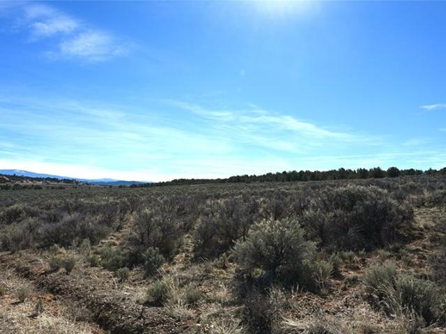 Land for sale in Los Ojos, New Mexico