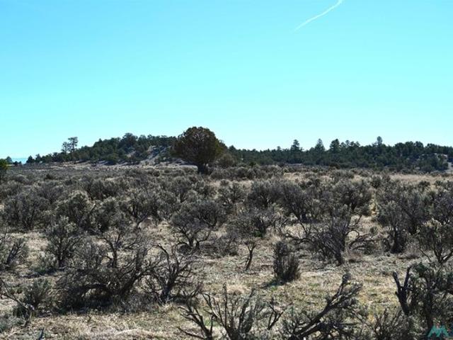 Land for sale in Los Ojos, New Mexico