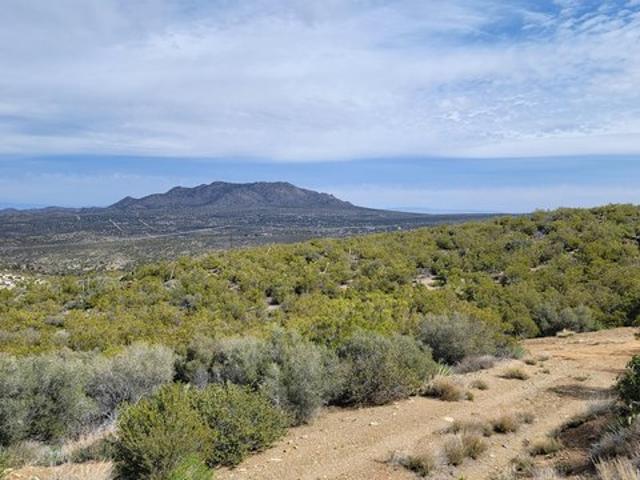 Land for sale in Mountain Center, California