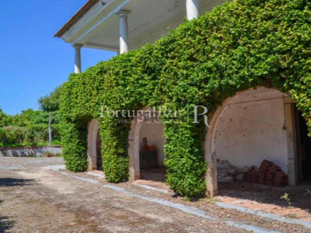 Casa venda em Coimbra Casa venda em Coimbra