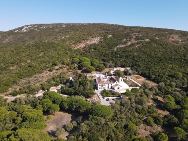 Quinta venda em Azeitão (São Lourenço e São Simão), Setúbal
