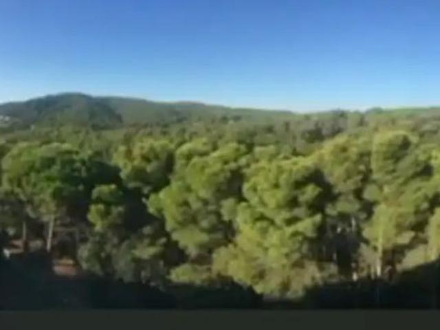 Apartamento en alquiler en Aigua Xelida, Palafrugell