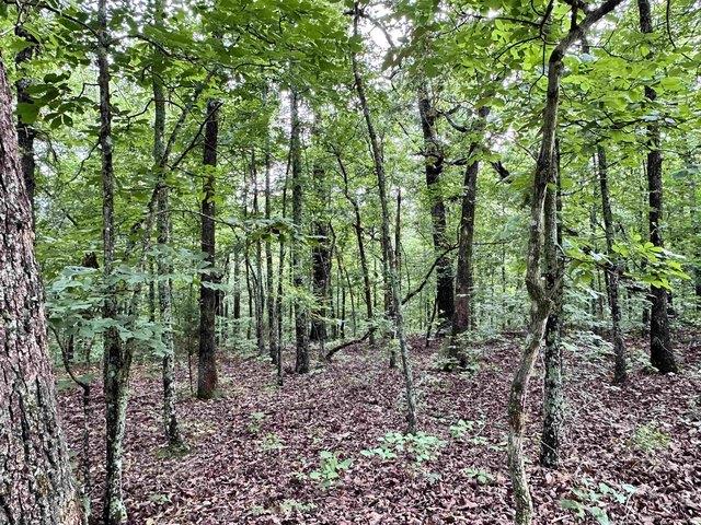 Land for sale in Ark