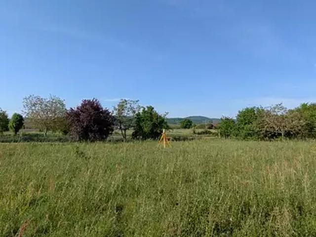 Terrain vente à Palaminy, Haute-Garonne
