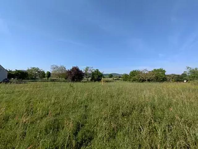 Terrain vente à Muret, Palaminy