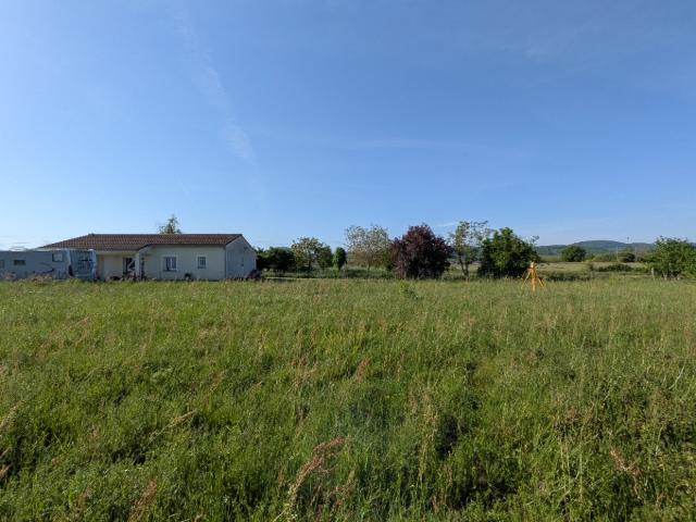 Terrain vente à Muret, Palaminy