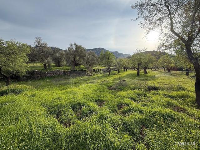 Datça, Muğla içerisinde satılık Arsa