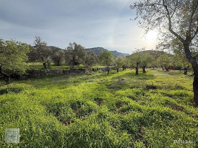 Datça, Muğla içerisinde satılık Arsa