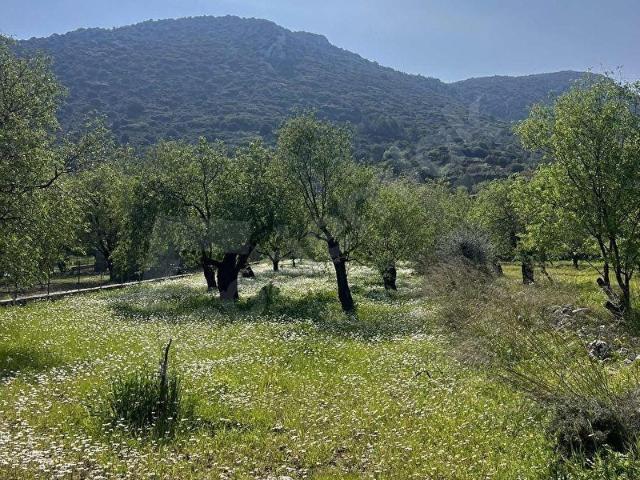 Datça, Muğla içerisinde satılık Arsa