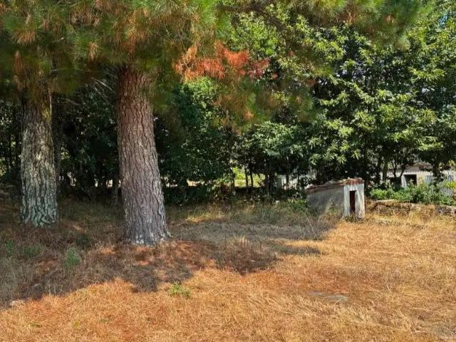 Apartamento en alquiler en A Ulloa, Galicia