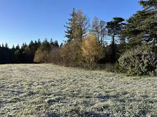 Terrain vente à Brive-la-Gaillarde, Palazinges