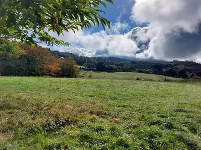 Terrain vente à Brive-la-Gaillarde, Palazinges
